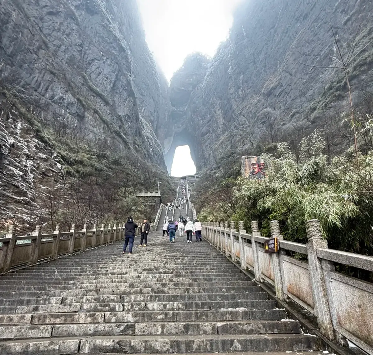 The 999 Steps.webp