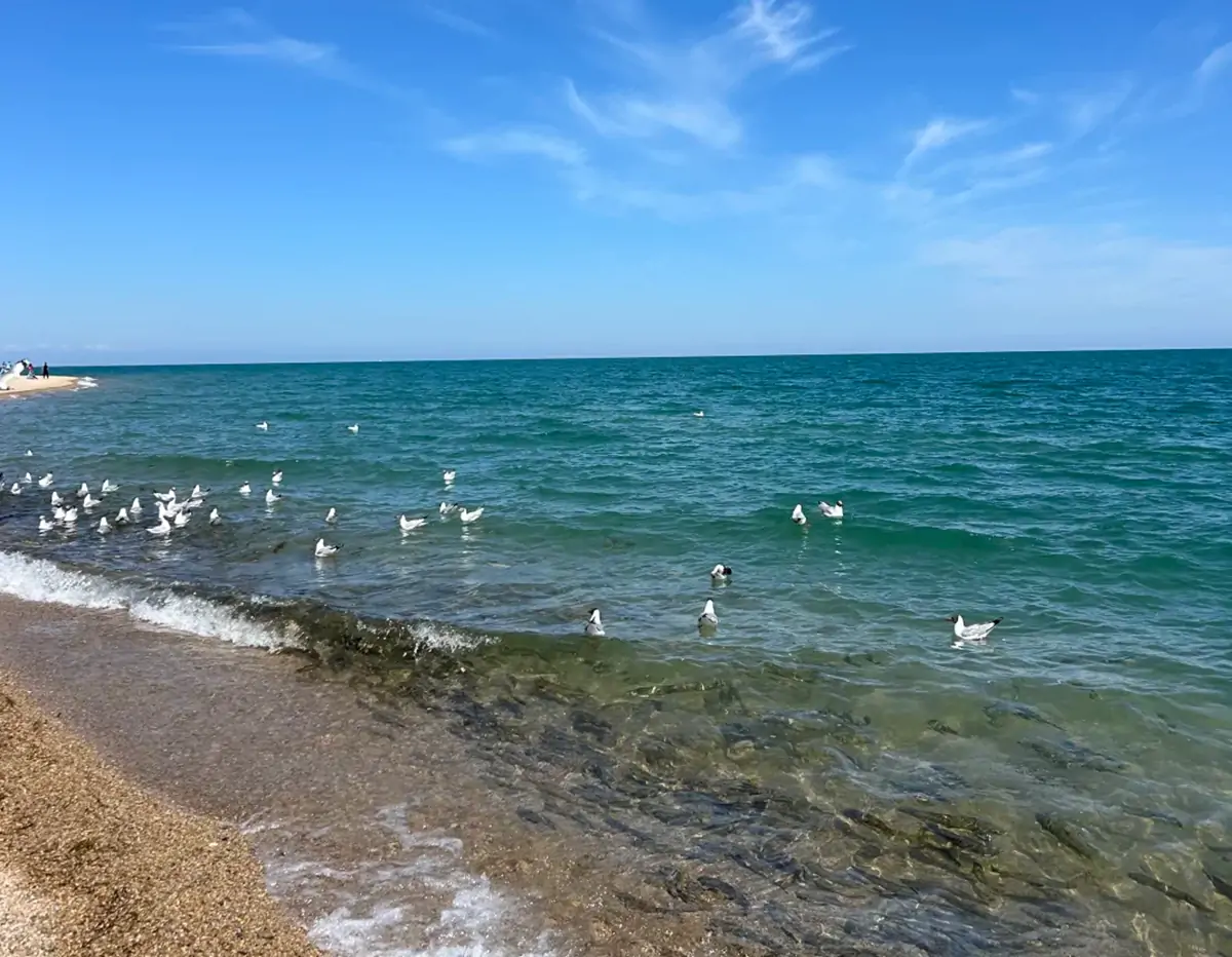 Qinghai Lake.webp