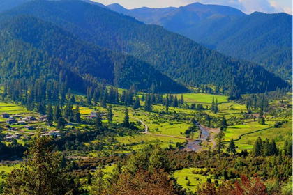Lulang forest-Nyingchi of eastern Tibet Lulang forest-Nyingchi of eastern Tibet
