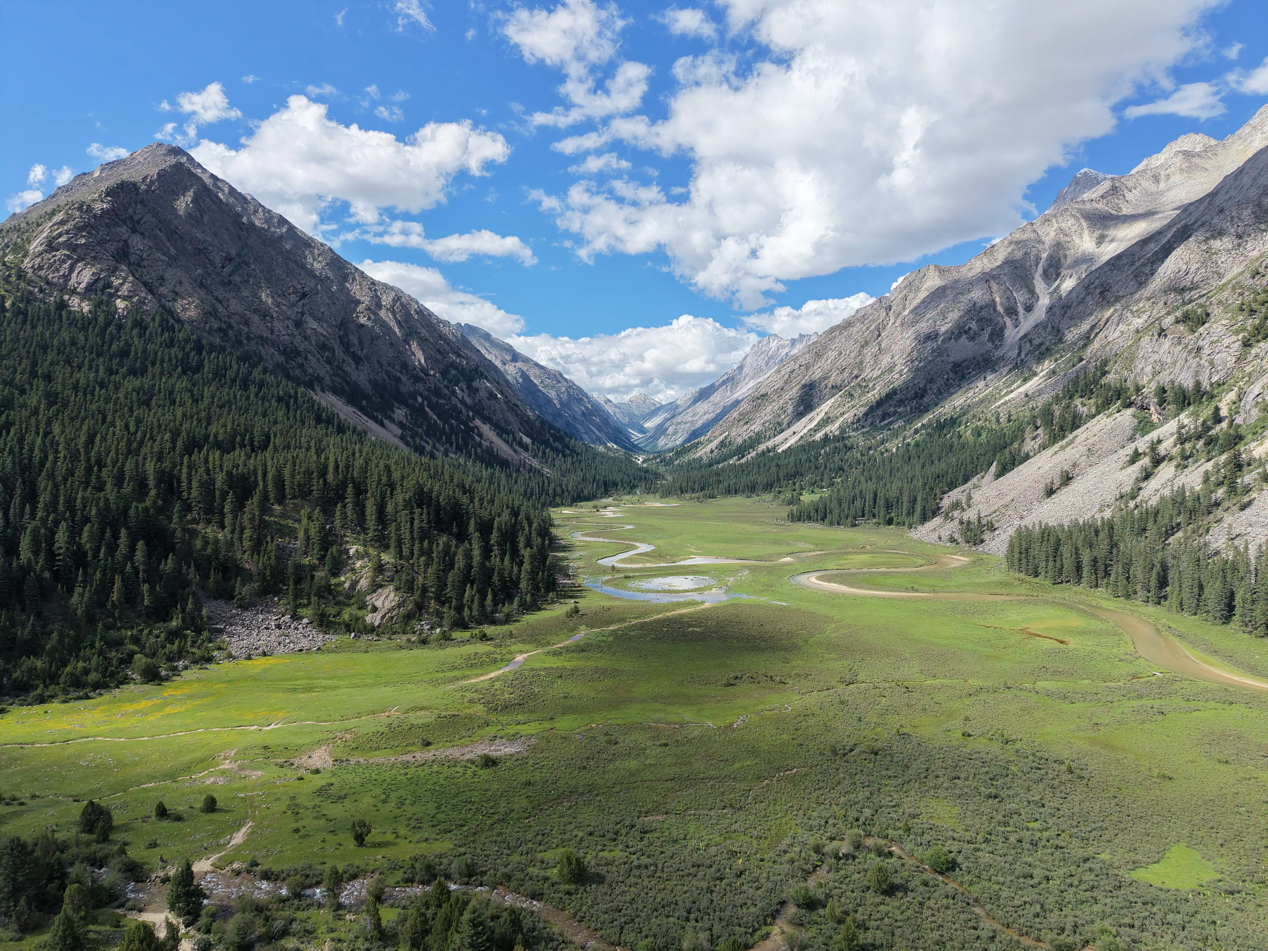 Bird View of Genie Trek