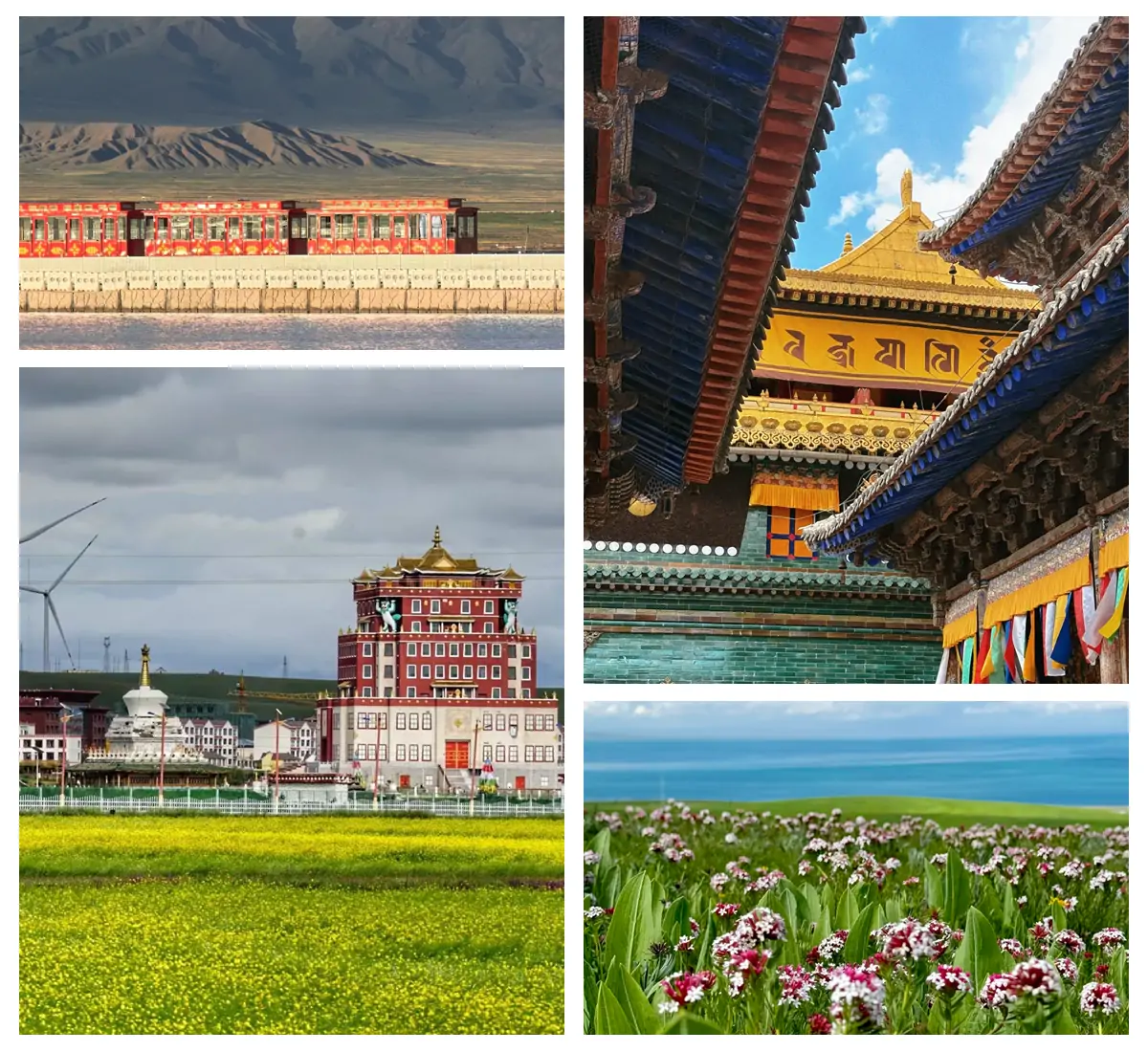 when to visit qinghai lake.webp