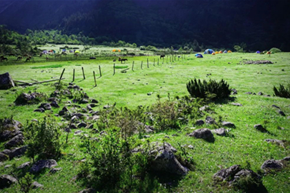 Gexi Grassland Gexi Grassland