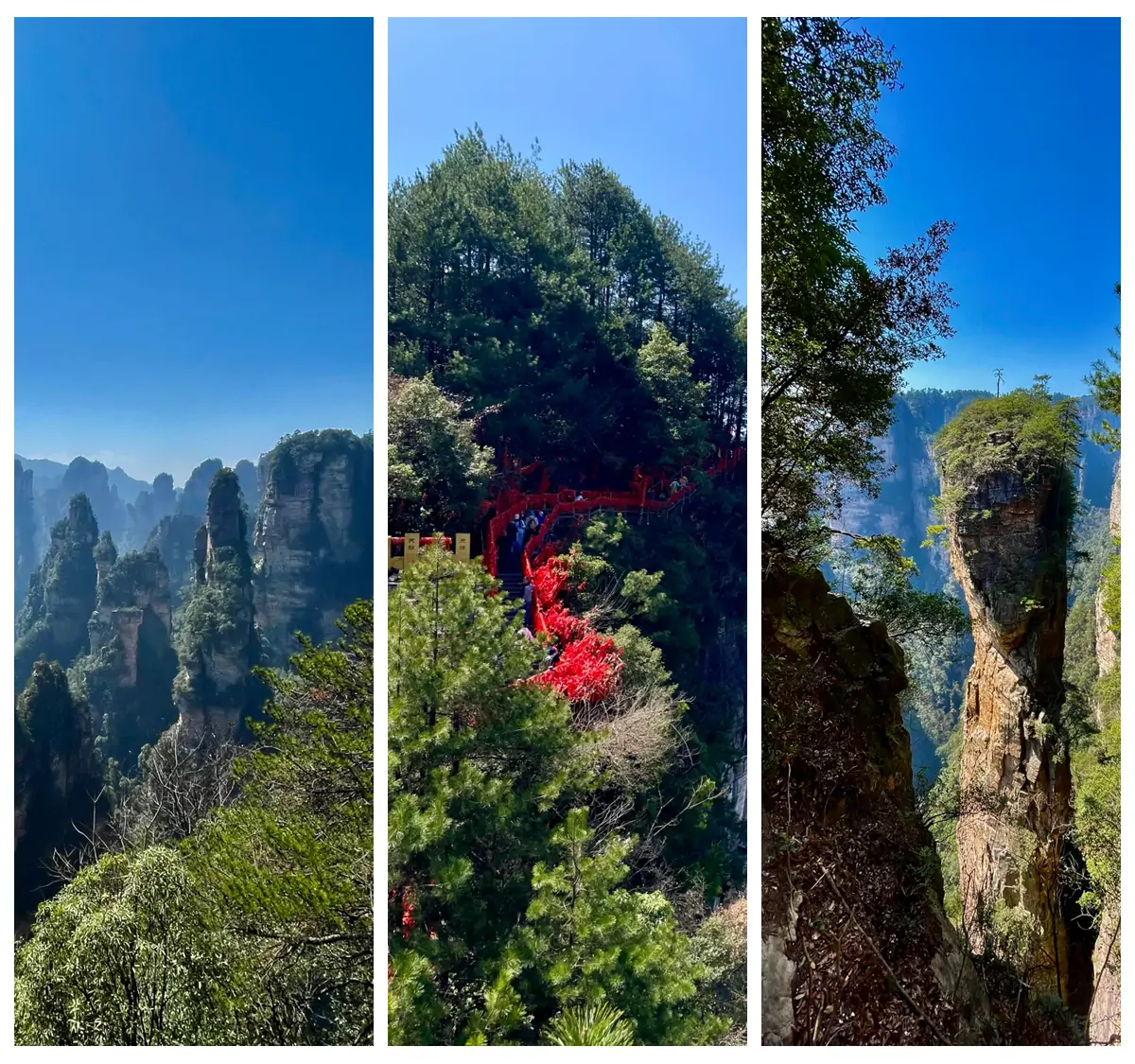 Photography Tips for Hallelujah Mountain.webp