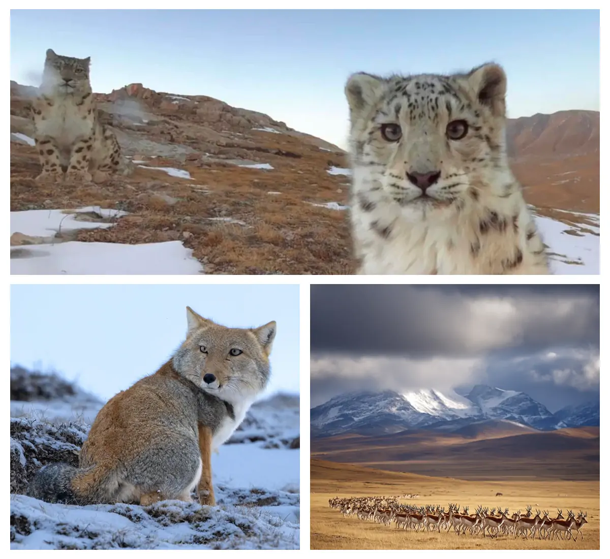 The Best Photography Season.webp
