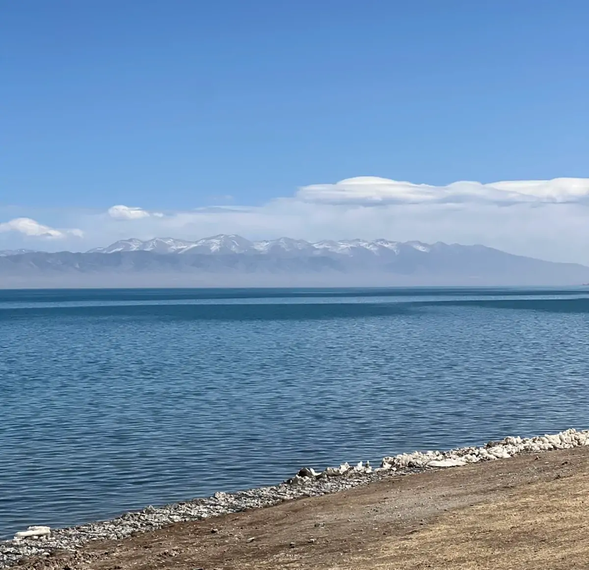 Qinghai Lake.webp