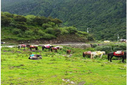 Balang Mountain Balang Mountain