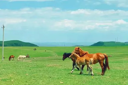 5 Days Inner Mongolia Nomadic Life with Volcano