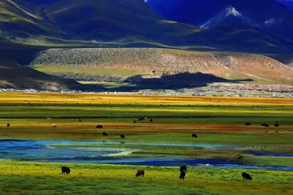 On the way to Namtso