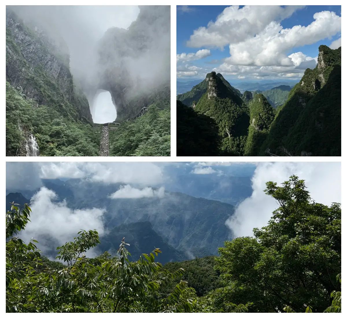 Tianmen Mountain Visitor Guide.webp